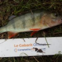 photo prise 5194 par Mr Perche 