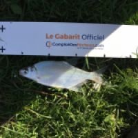 photo prise 5209 par Sam