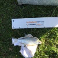 photo prise 5210 par Sam