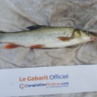 photo prise 5224 par Mr Perche 