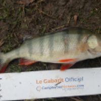 photo prise 5231 par Mr Perche 