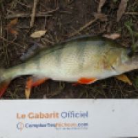 photo prise 5234 par Mr Perche 