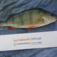 photo prise 5247 par Mr Perche 