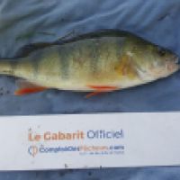 photo prise 5248 par Mr Perche 