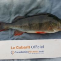 photo prise 5252 par Mr Perche 