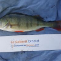 photo prise 5254 par Mr Perche 