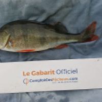 photo prise 5257 par Mr Perche 