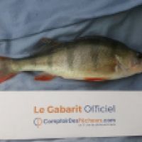photo prise 5261 par Mr Perche 