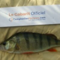photo prise 5284 par Mr Perche 