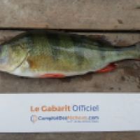 photo prise 5285 par Mr Perche 