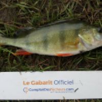 photo prise 5286 par Mr Perche 