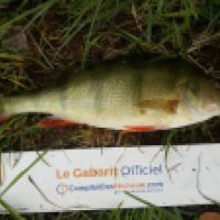 photo prise 5287 par Mr Perche 