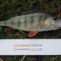 photo prise 5288 par Mr Perche 