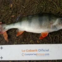 photo prise 5296 par Mr Perche 