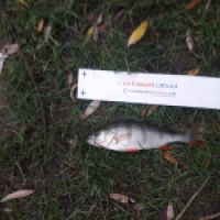photo prise 5300 par manuchartrin
