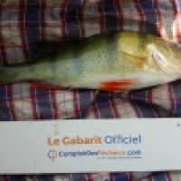 photo prise 5316 par Mr Perche 