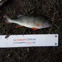 photo prise 5318 par Mr Perche 