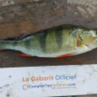 photo prise 5319 par Mr Perche 
