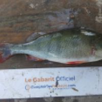 photo prise 5320 par Mr Perche 