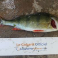 photo prise 5321 par Mr Perche 