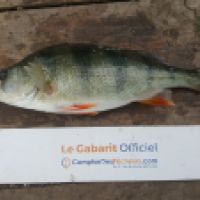 photo prise 5325 par Mr Perche 