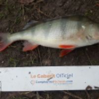 photo prise 5326 par Mr Perche 