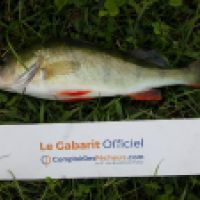 photo prise 5327 par Mr Perche 