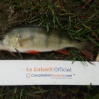 photo prise 5329 par Mr Perche 