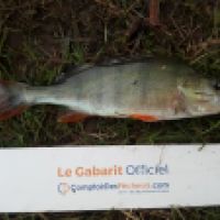 photo prise 5331 par Mr Perche 