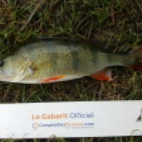 photo prise 5335 par Mr Perche 