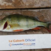 photo prise 5338 par Mr Perche 