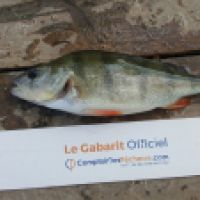 photo prise 5339 par Mr Perche 
