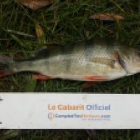 photo prise 5341 par Mr Perche 