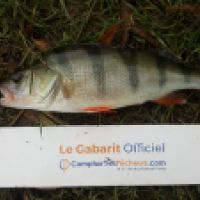 photo prise 5342 par Mr Perche 