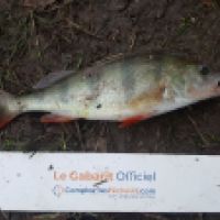 photo prise 5344 par Mr Perche 