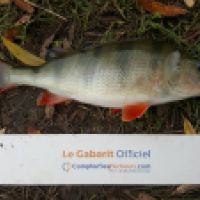 photo prise 5345 par Mr Perche 