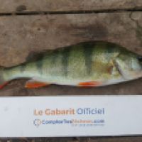 photo prise 5350 par Mr Perche 