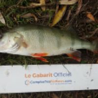 photo prise 5351 par Mr Perche 
