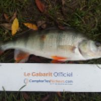 photo prise 5353 par Mr Perche 
