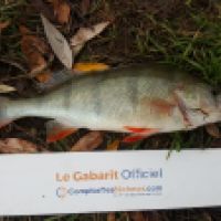 photo prise 5354 par Mr Perche 