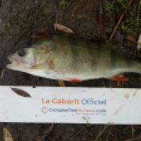 photo prise 5355 par Mr Perche 