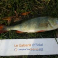 photo prise 5356 par Mr Perche 