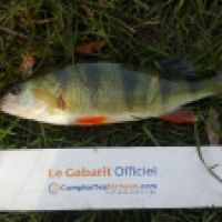 photo prise 5357 par Mr Perche 