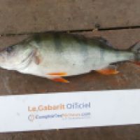 photo prise 5359 par Mr Perche 