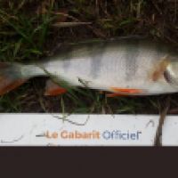 photo prise 5360 par Mr Perche 