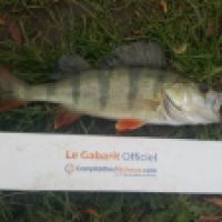 photo prise 5362 par Mr Perche 