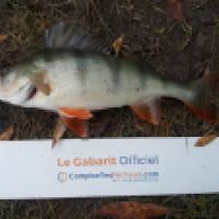 photo prise 5363 par Mr Perche 