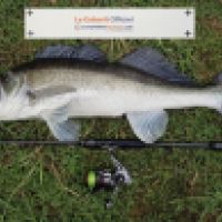 photo prise 5367 par Mattou vision FlyFishing