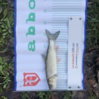 photo prise 5380 par Mattou vision FlyFishing