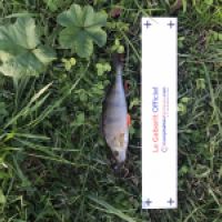 photo prise 5386 par Mattou vision FlyFishing